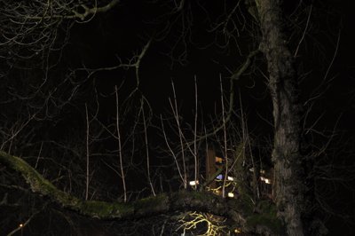 Droit vers le ciel_4334868087_l.jpg